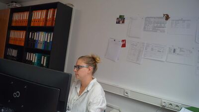 DSC00969
